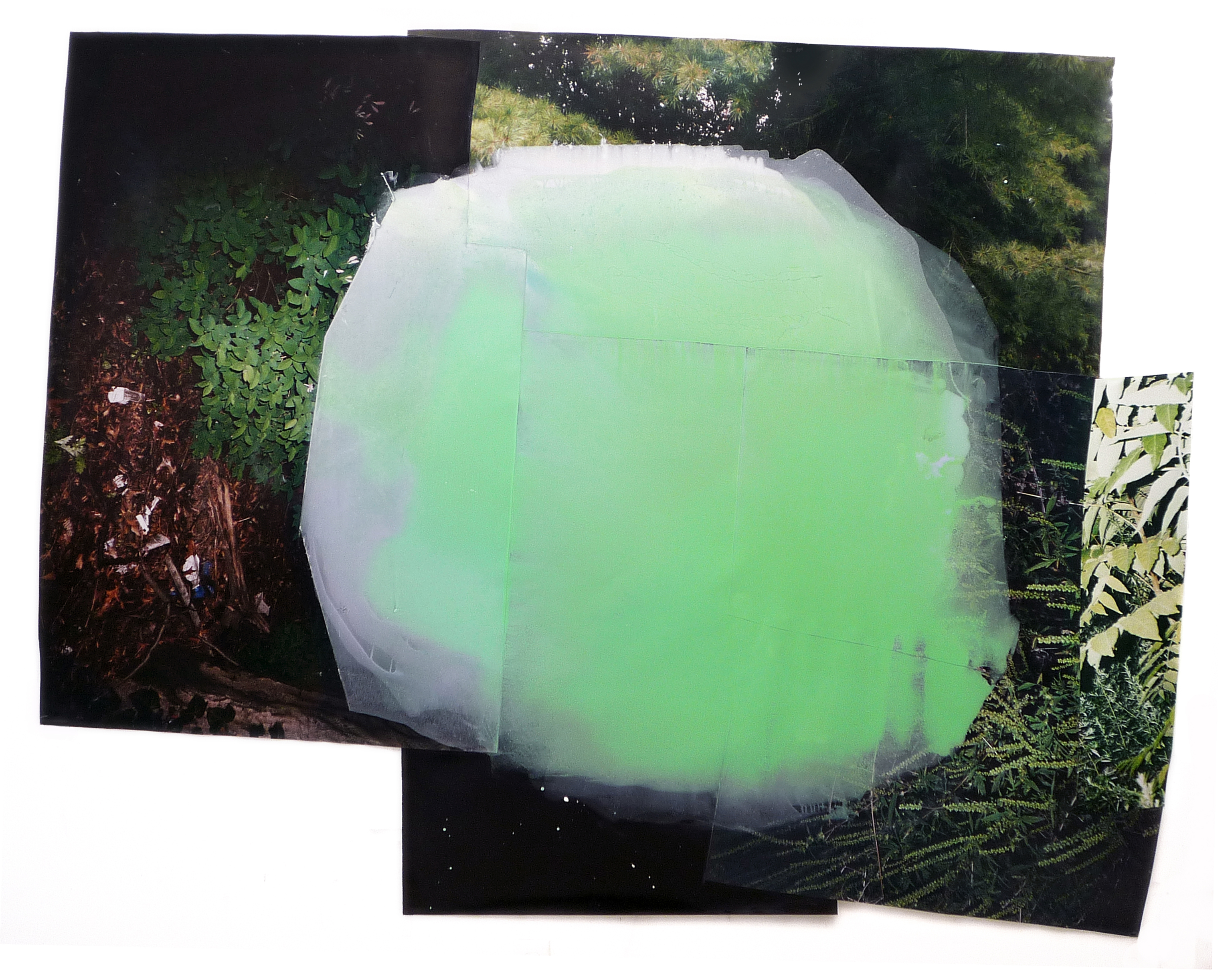 Claire_Falkenberg-13_Crush_2012_mixed_media_photography