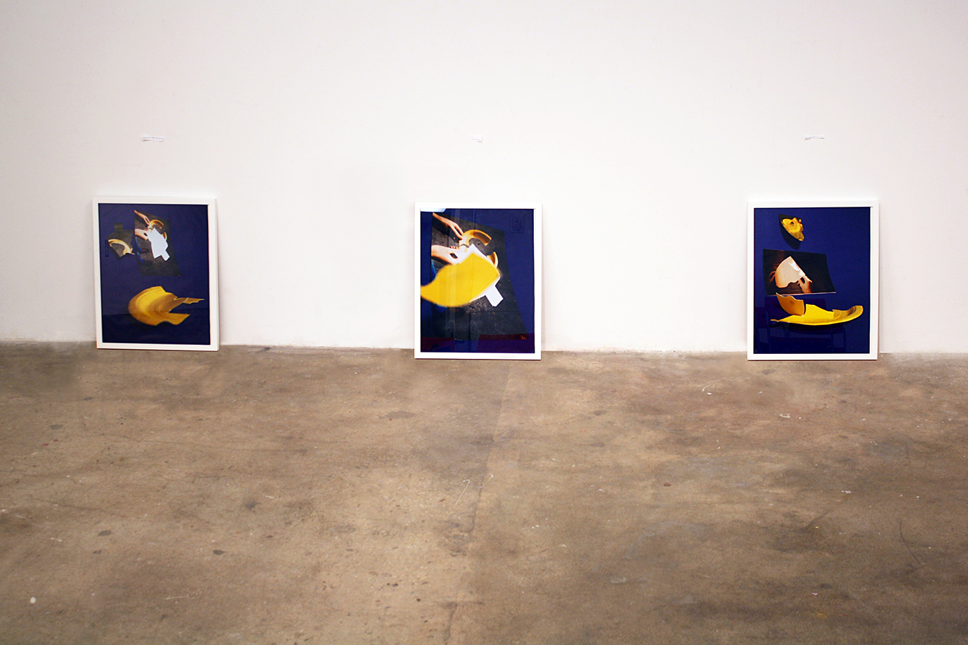 Janna_Dyk-17_Installation_view_Realignment_fig._1-3_2014_photographyinstall