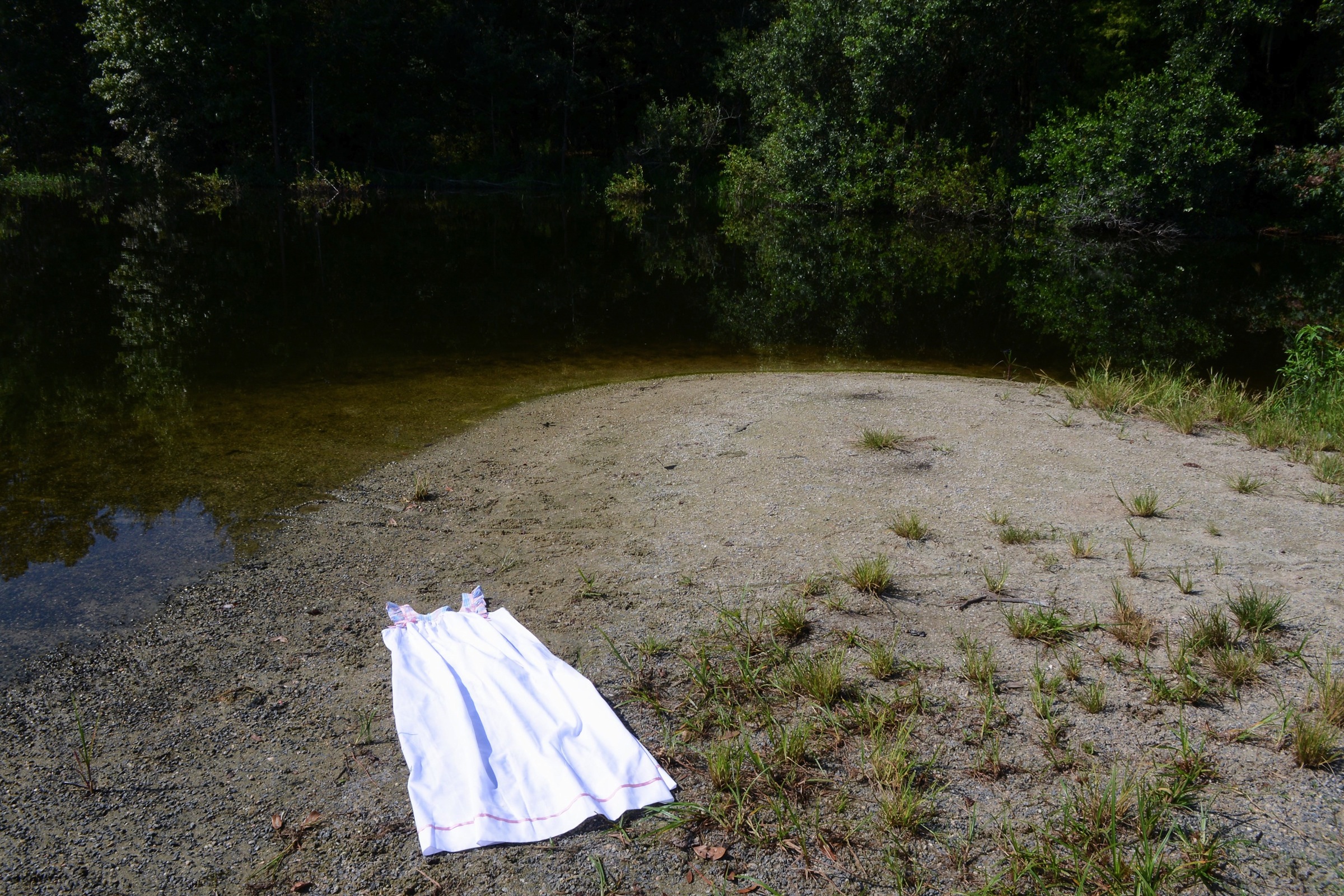 House dress at the bank of a flatwoods lake, 2015
