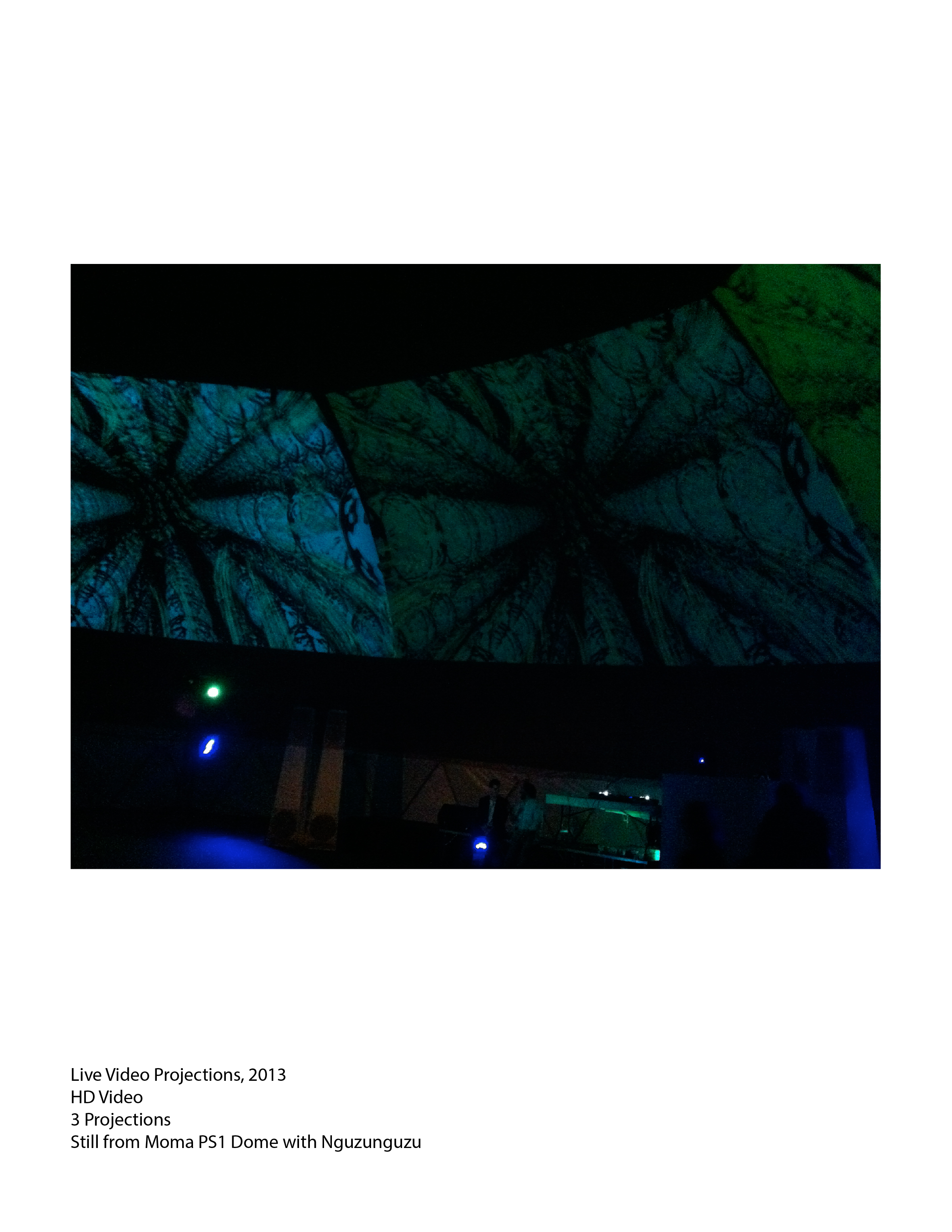 7. Live Video Projections, 2013