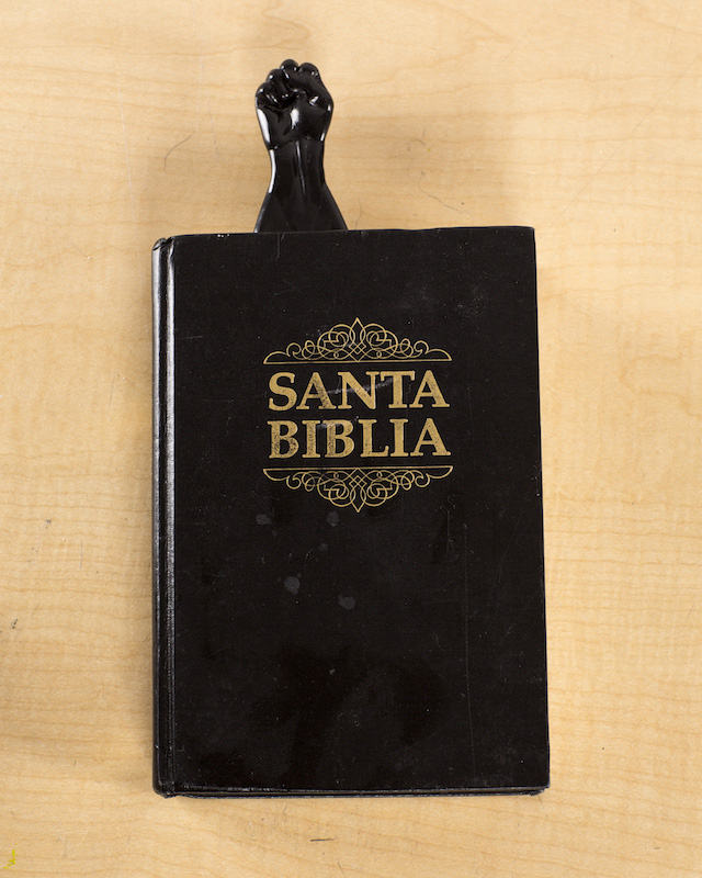 Santa Biblia, 2014 