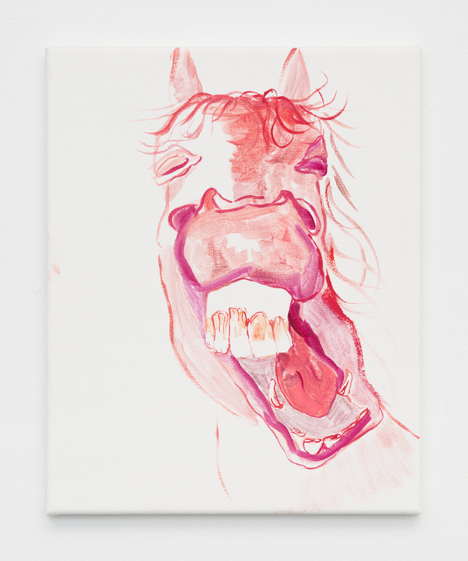 Horse, funny, 2017