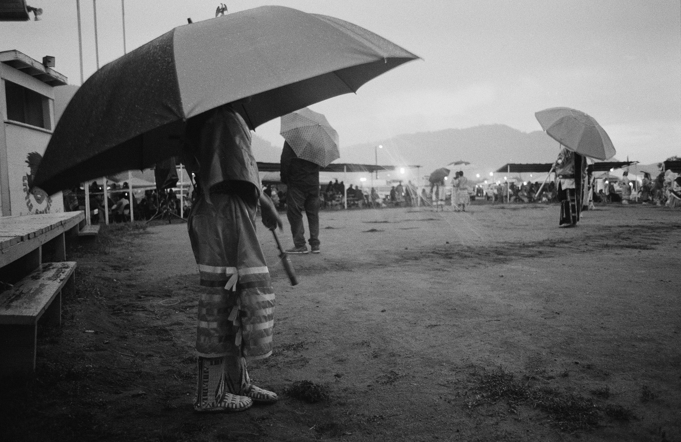 Umbrella Dance, 2017