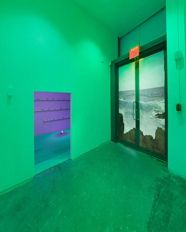 Cueva Ventana: A Speleology of Passageways-The Green Room, 2018
